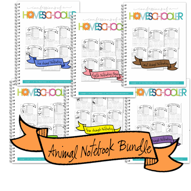 (image for) Animal Notebooking Pages Bundle - PDF